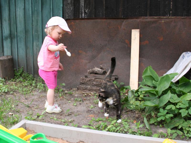Lapsele raske selgeks teha, et kassid liiva ei söö
Võtmesõnad: kadi kass