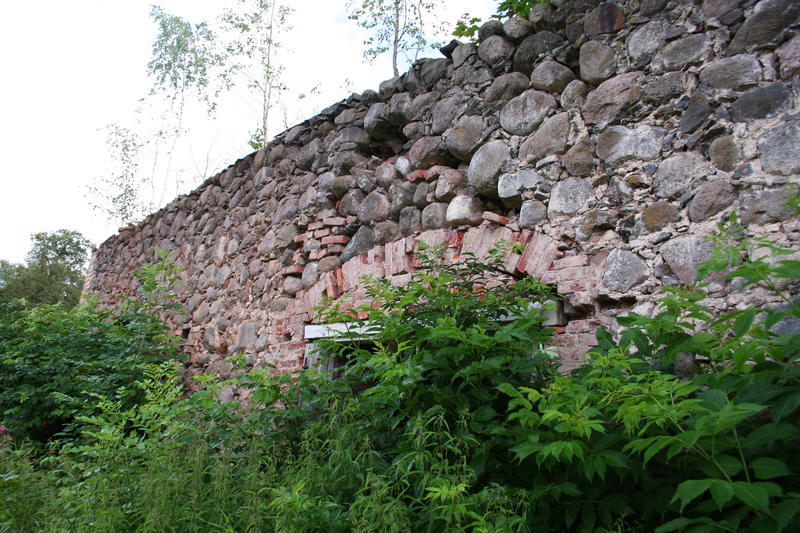 Viinakeldri müürid
