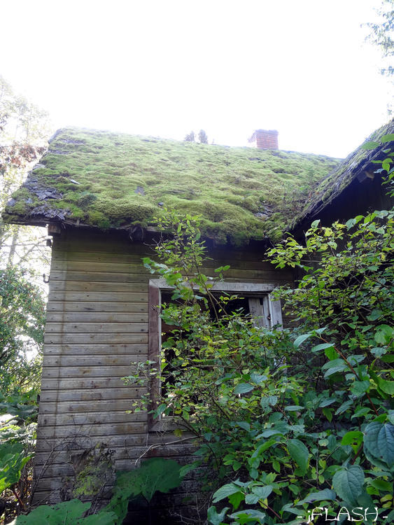 Sammal maja taga veel kaitseb katust
