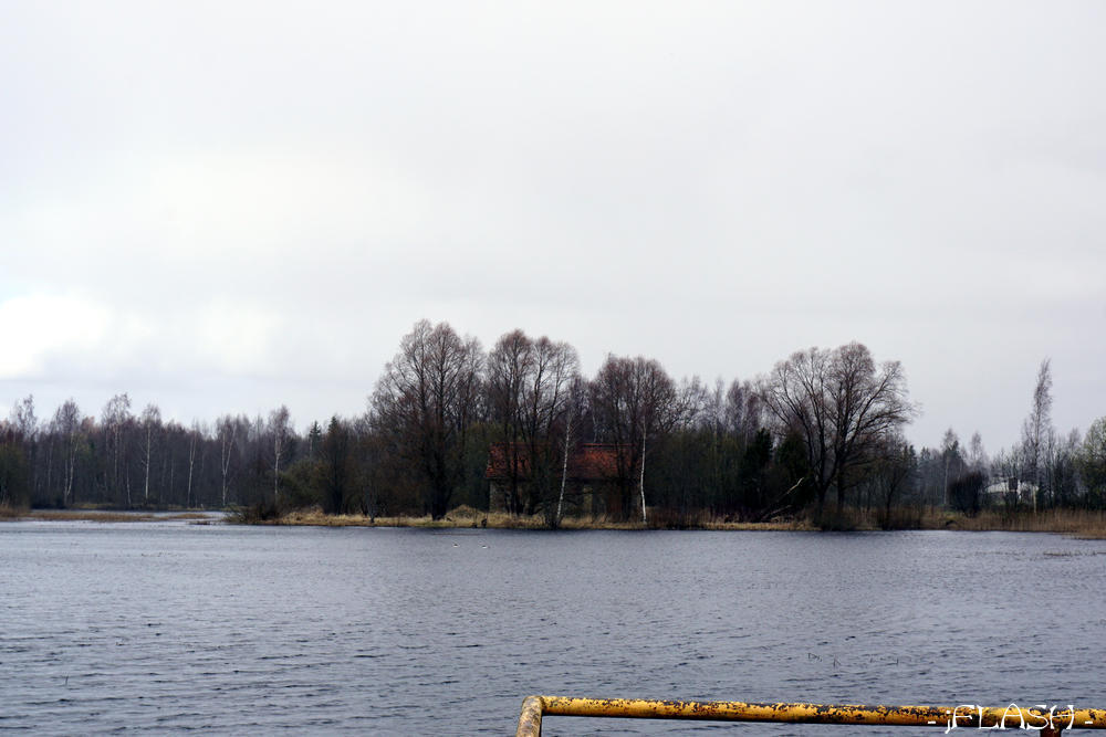 Võisiku järv
